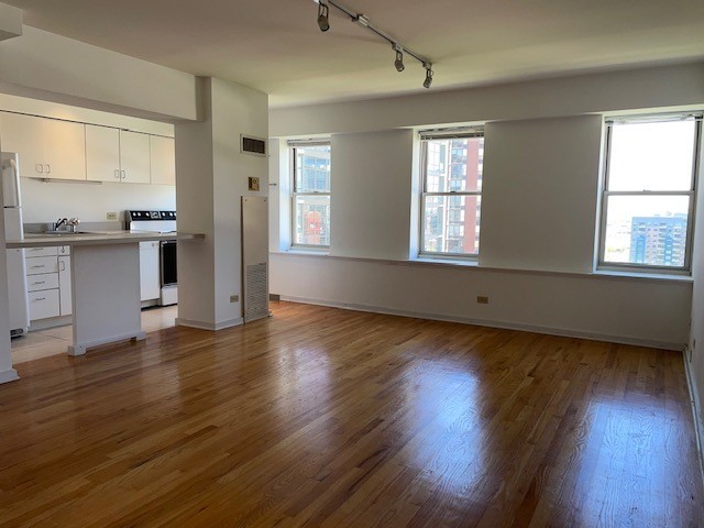 40 East 9th Street, Unit 1412 Chicago, IL 60605 - Photo 2 of 17