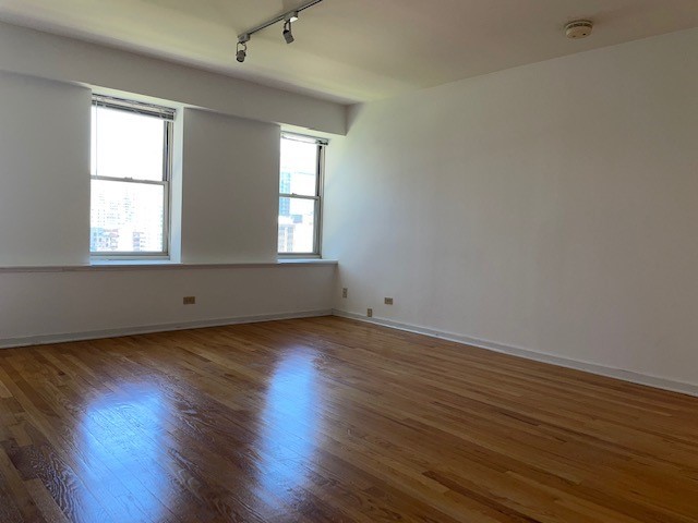 40 East 9th Street, Unit 1412 Chicago, IL 60605 - Photo 3 of 17