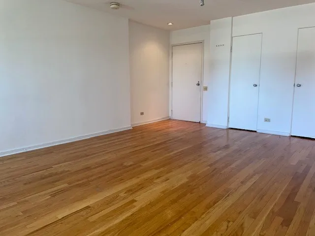 $1,600 | 40 East 9th Street, Unit 1412, Chicago, IL 60605