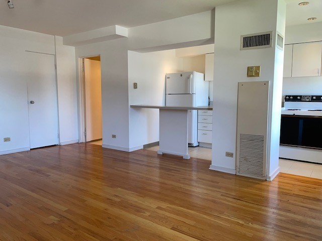 40 East 9th Street, Unit 1412 Chicago, IL 60605 - Photo 5 of 17