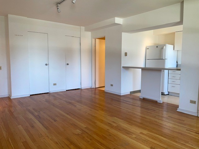 40 East 9th Street, Unit 1412 Chicago, IL 60605 - Photo 6 of 17