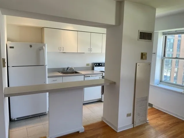 $1,600 | 40 East 9th Street, Unit 1412, Chicago, IL 60605