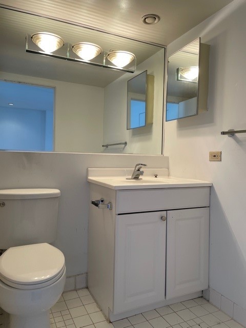 40 East 9th Street, Unit 1412 Chicago, IL 60605 - Photo 10 of 17