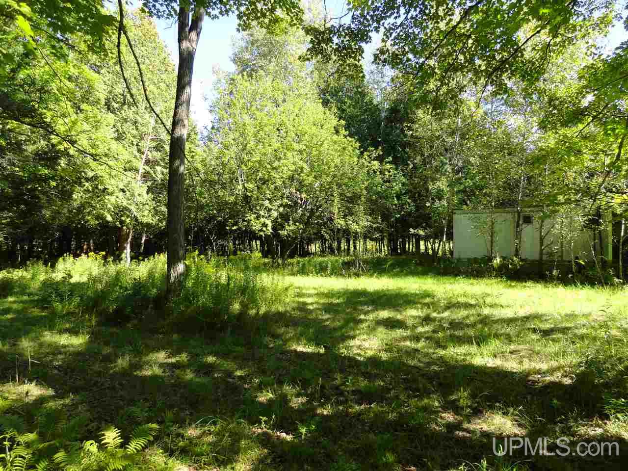 6386 Co Rd 432 Rock, MI 49880 - Photo 7 of 39