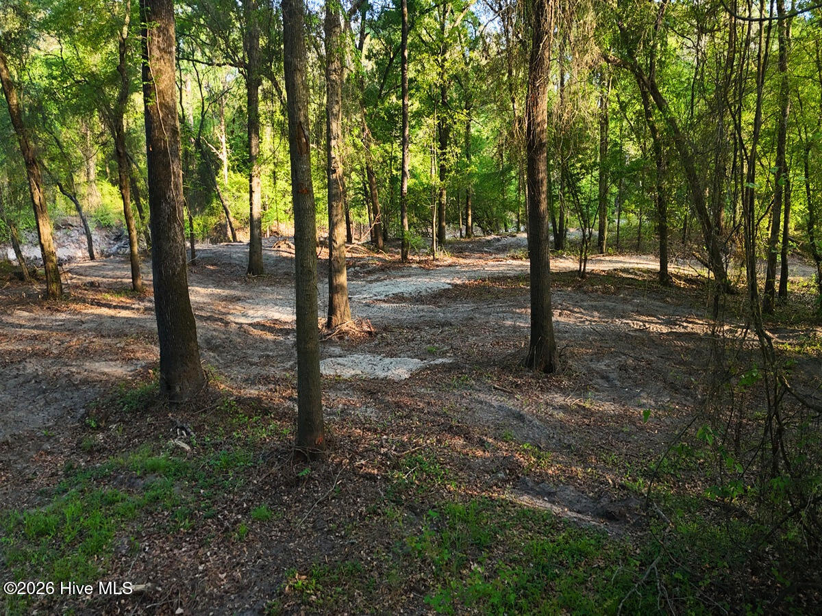 0 Durwood Evans Road Beulaville, NC 28518 - Photo 51 of 68 51. Riverfront Access Paths