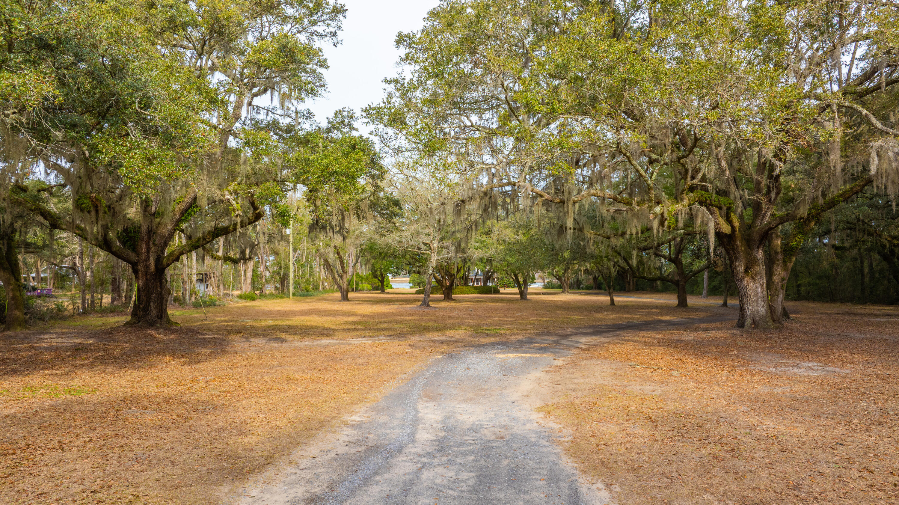 2722 Bohicket Road Johns Island, SC 29455 - Photo 10 of 32 2722BohicketRd082