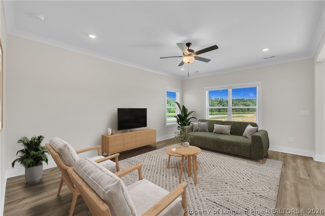 85 Camp Rock Road Lillington, NC 27546 - Photo 5 of 20 a living room with furniture a potted plant and a flat screen tv