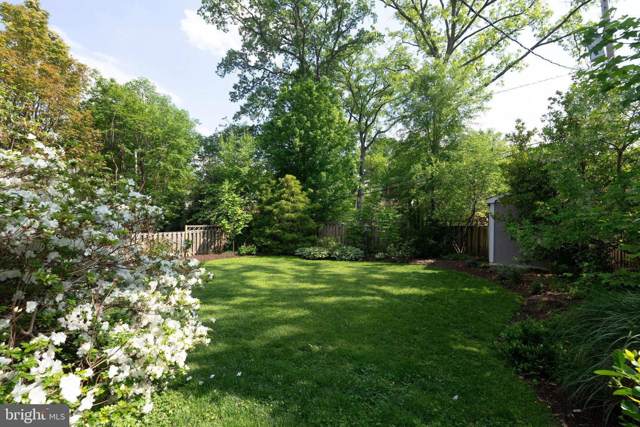 810 Grand View Drive Alexandria, VA 22305 - Photo 31 of 55 a big yard with lots of green space and trees all around