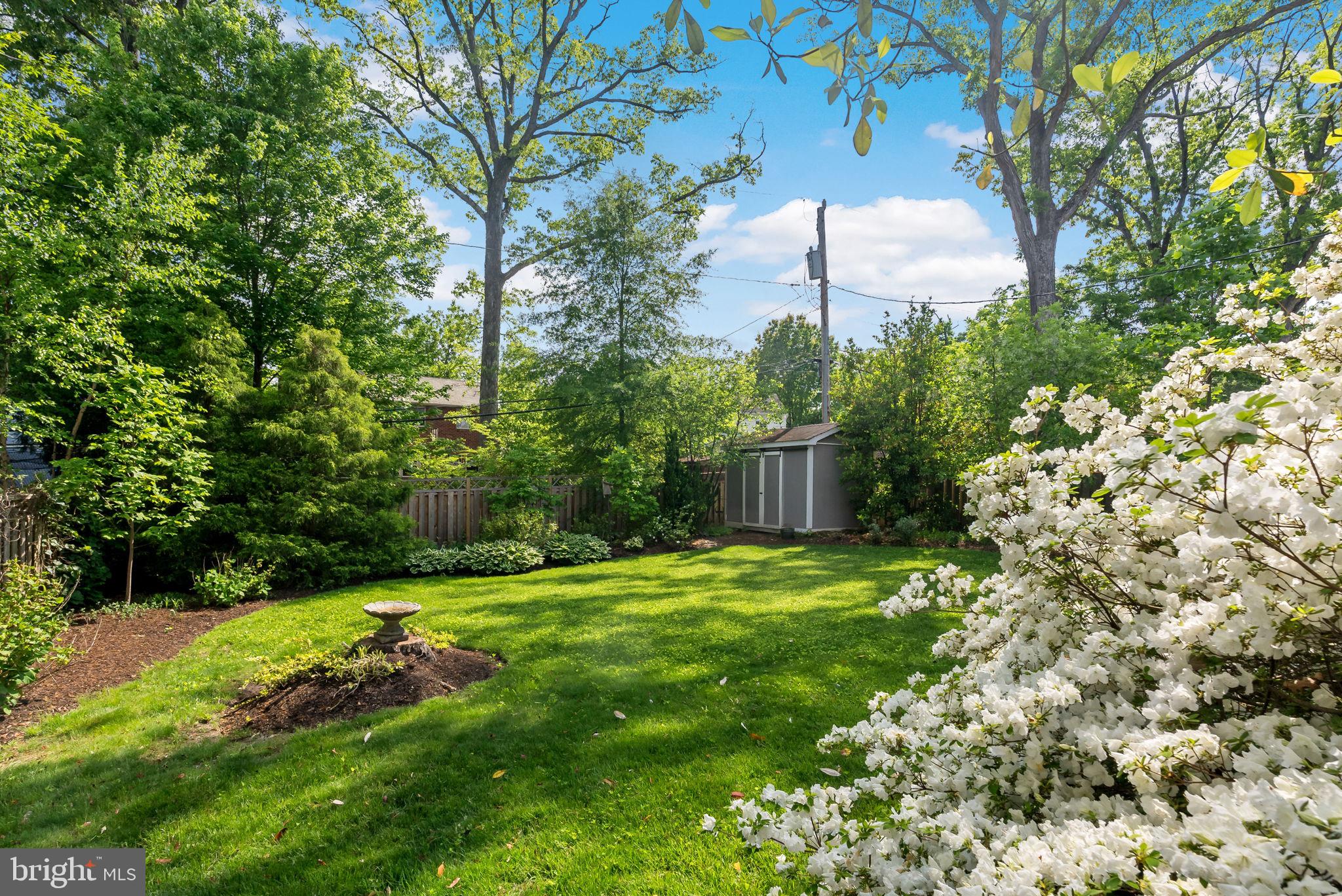 810 Grand View Drive Alexandria, VA 22305 - Photo 36 of 55 a backyard of a house with lots of green space and fountain