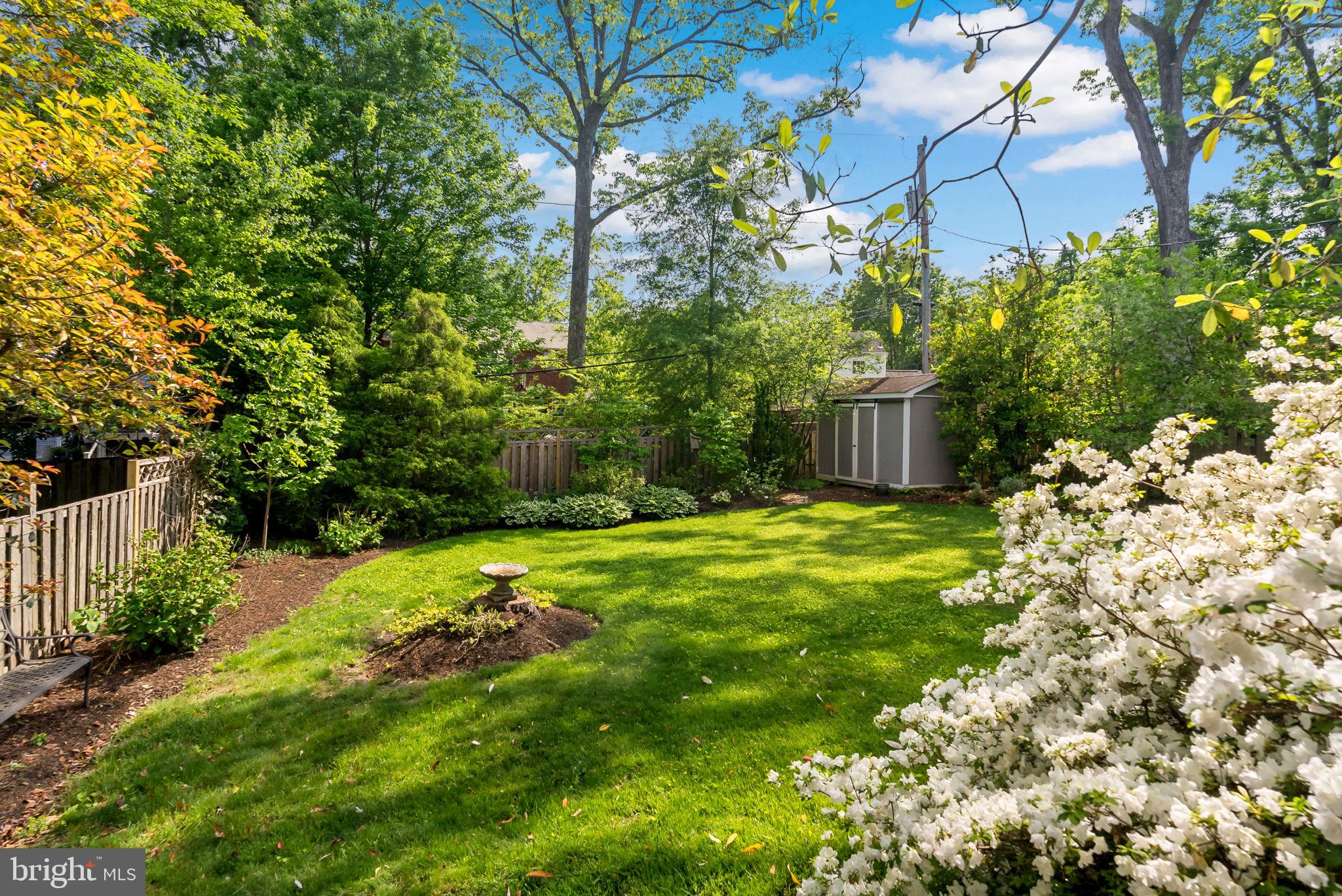 810 Grand View Drive Alexandria, VA 22305 - Photo 37 of 55 a backyard of a house with lots of green space