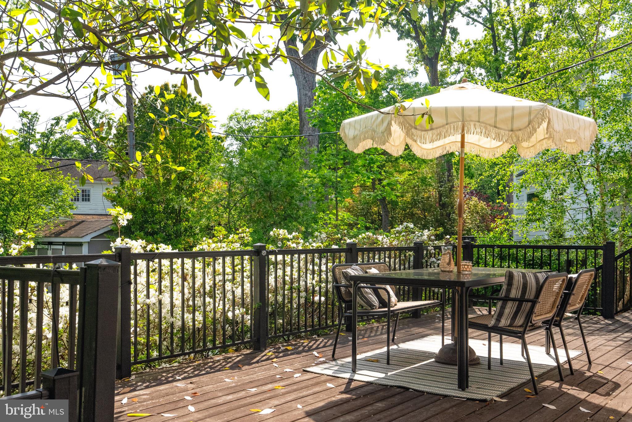 810 Grand View Drive Alexandria, VA 22305 - Photo 53 of 55