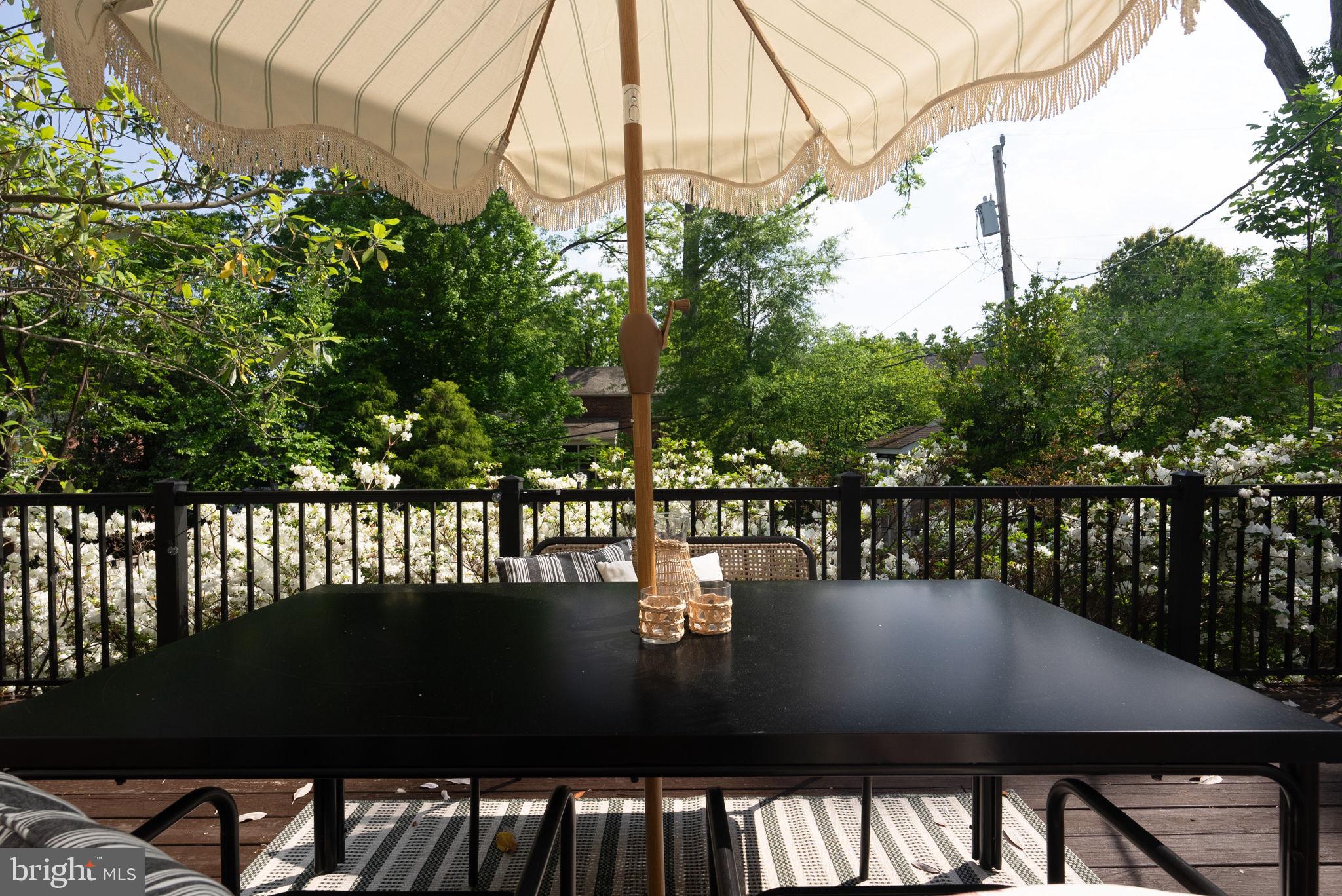 810 Grand View Drive Alexandria, VA 22305 - Photo 54 of 55