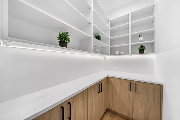 a view of staircase with white walls and potted plants
