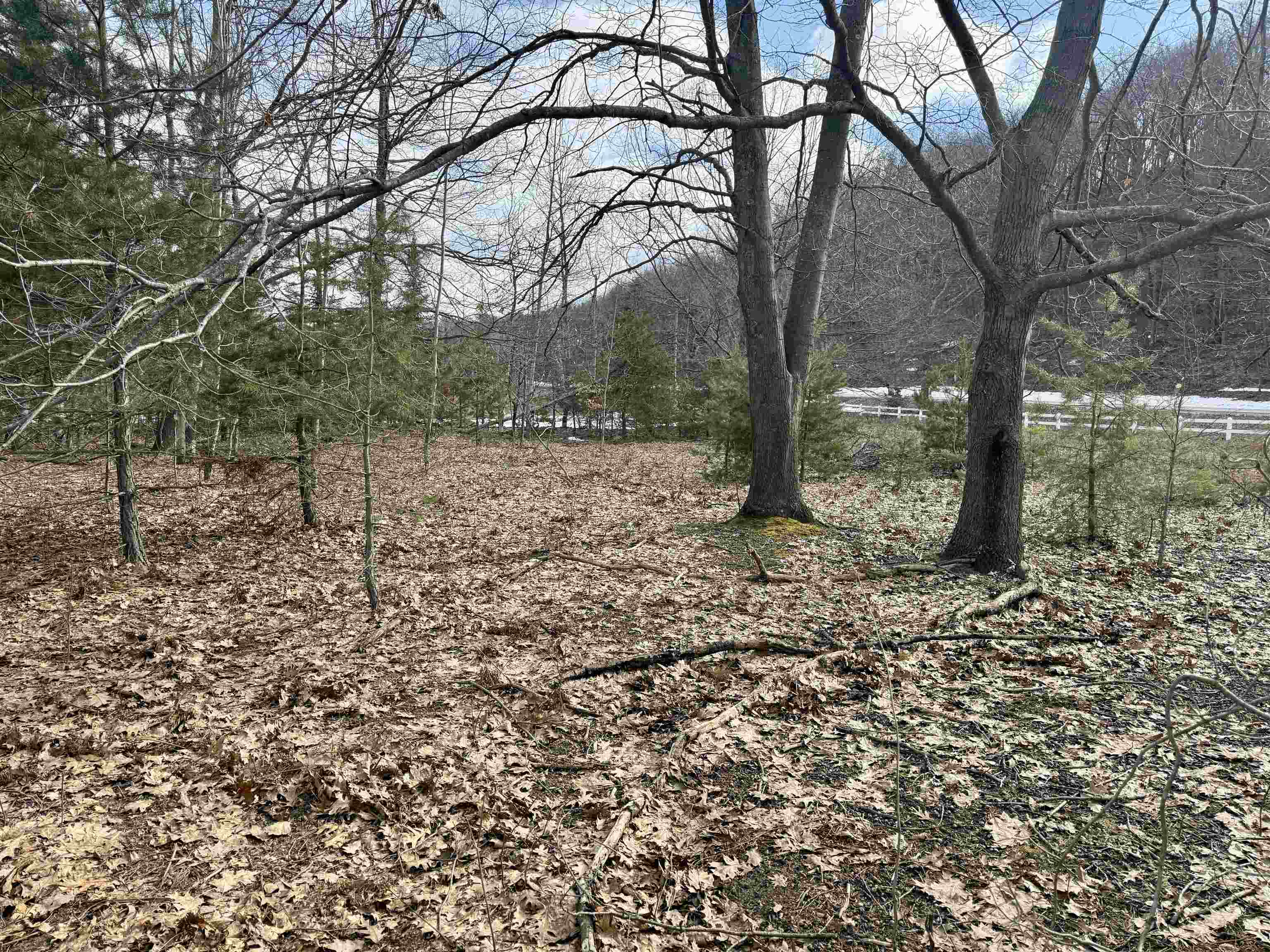 0 East Sandy Lane Cedar, MI 49621 - Photo 8 of 20