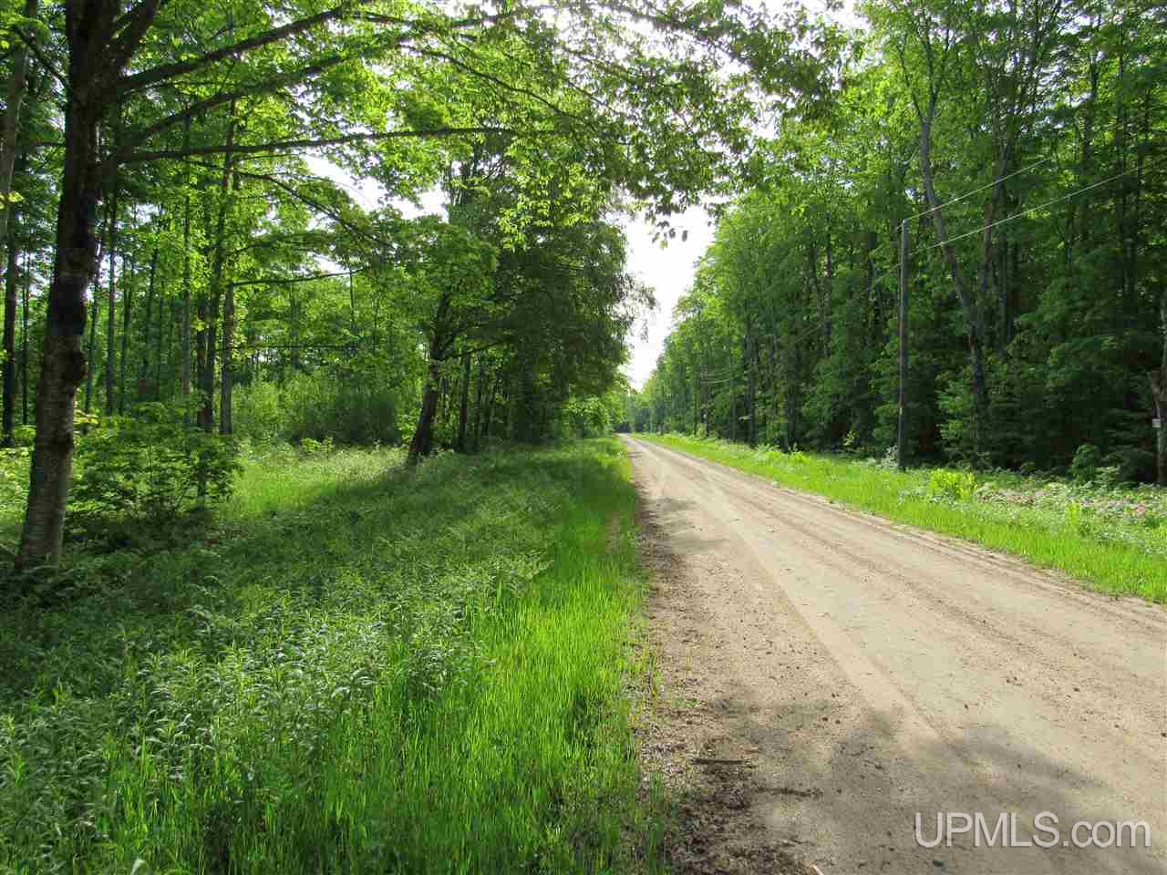 11998 Roy Wright Road Shingleton, MI 49884 - Photo 4 of 36