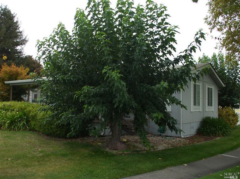 33 Chestnut Court, Unit 33 Rohnert Park, CA 94928 - Photo 1 of 1 Hello 33 Chestnut Ct