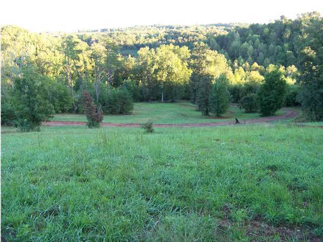 49 Old Bacon Road Charleston, TN 37310 - Photo 1 of 17 Primary Photo