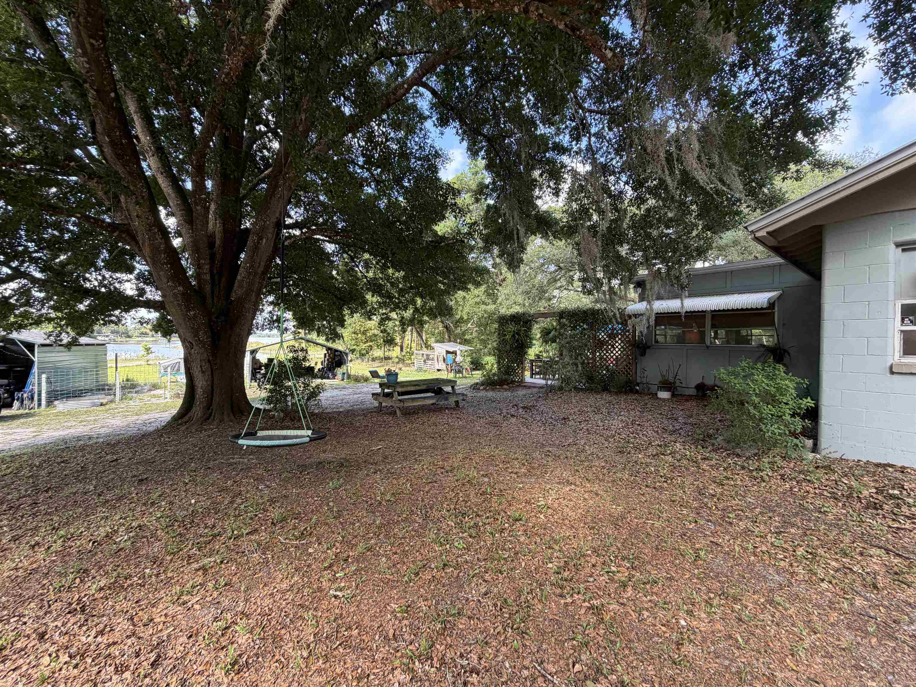 323 Sisco Road Pomona Park, FL 32181 - Photo 20 of 31 a view of a tree in front of a house