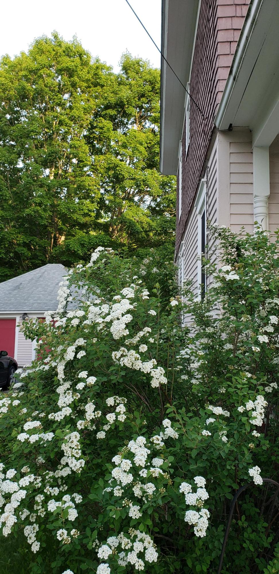 340 Little Falls Road Hollis, ME 04042 - Photo 14 of 16 Fragrant