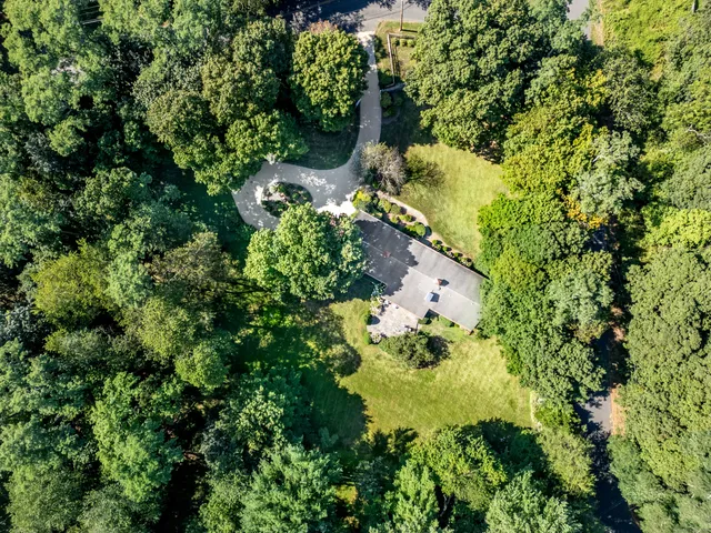 a view of a garden with plants