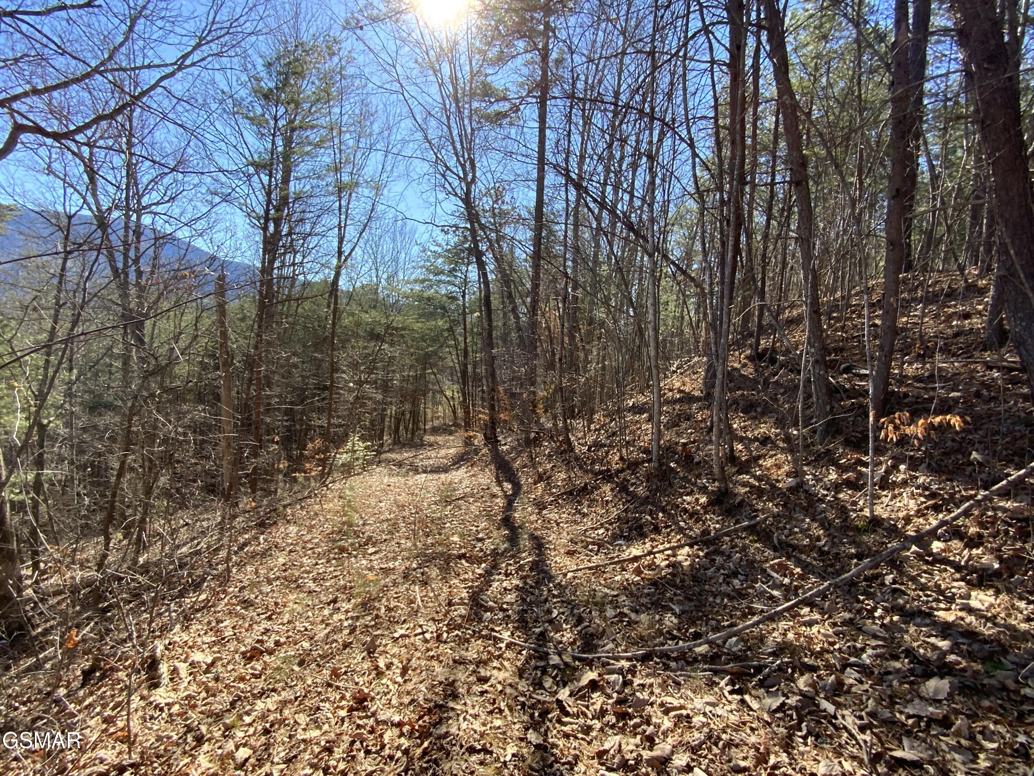 7 Hatcher Mountain Road Sevierville, TN 37862 - Photo 12 of 13