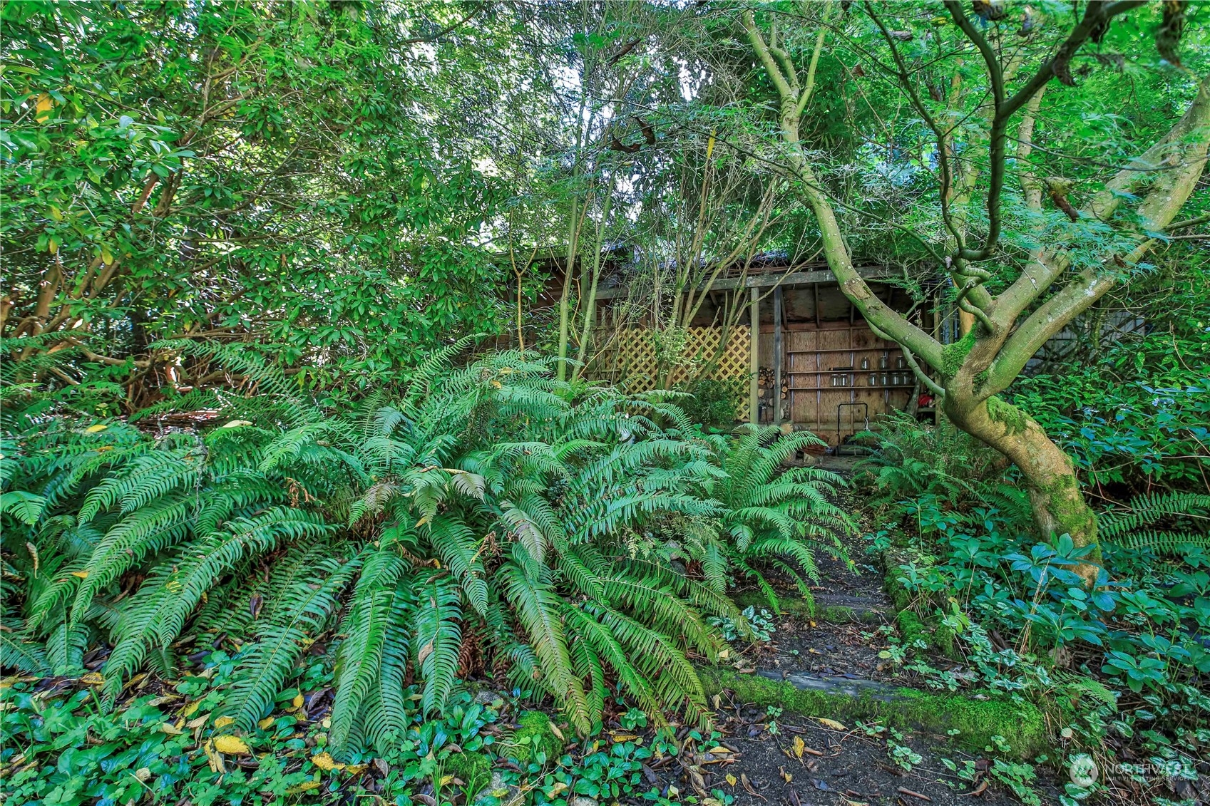 5190 Wilkinson Road Langley, WA 98260 - Photo 34 of 38 Gallery Image 34