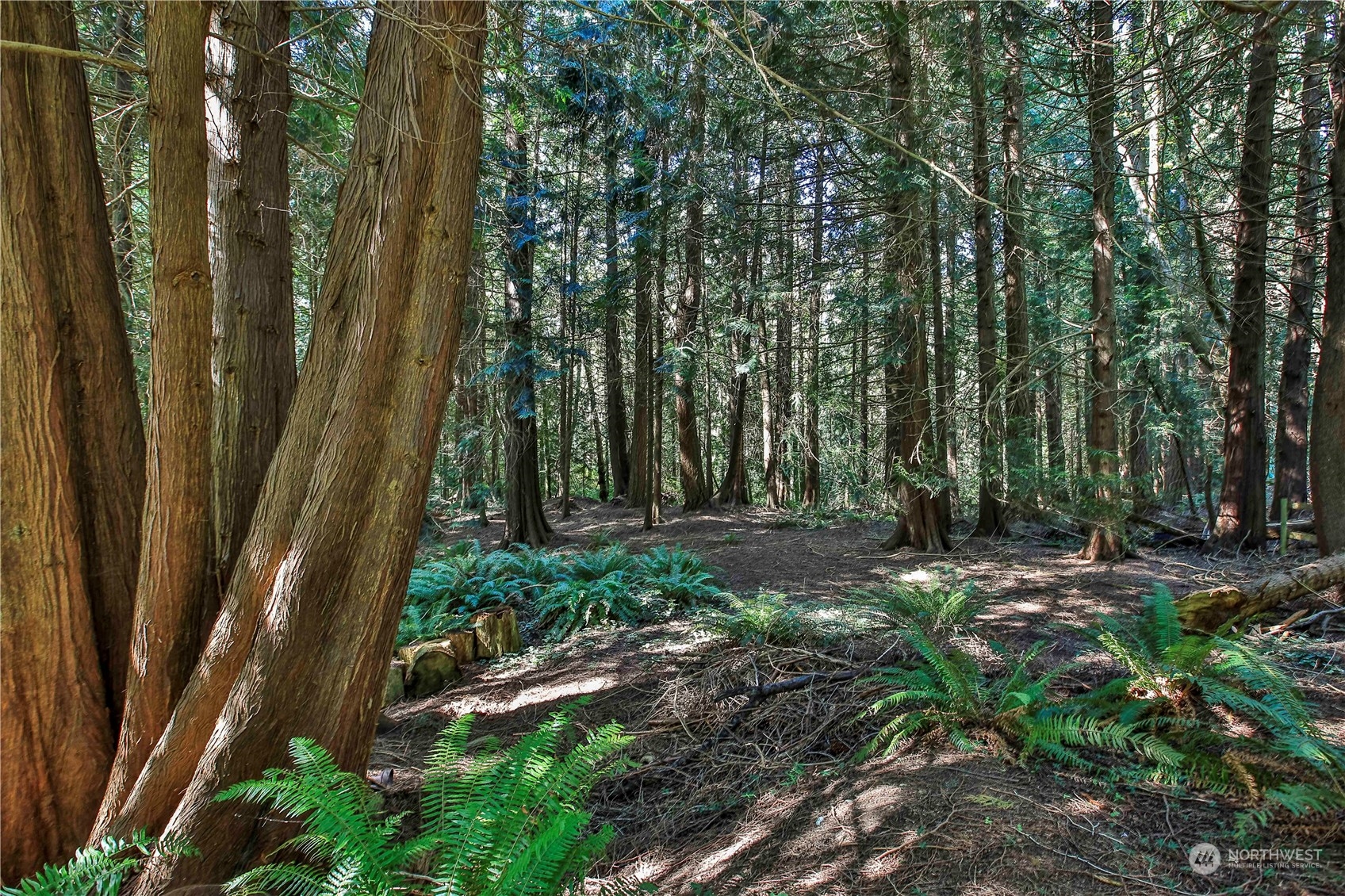 5190 Wilkinson Road Langley, WA 98260 - Photo 35 of 38 Gallery Image 35