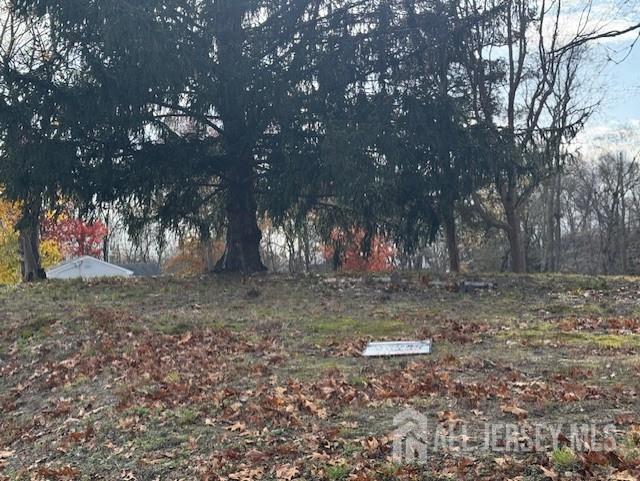 1207 Marlboro Road Old Bridge, NJ 08857 - Photo 3 of 6 a view of outdoor space with tree s