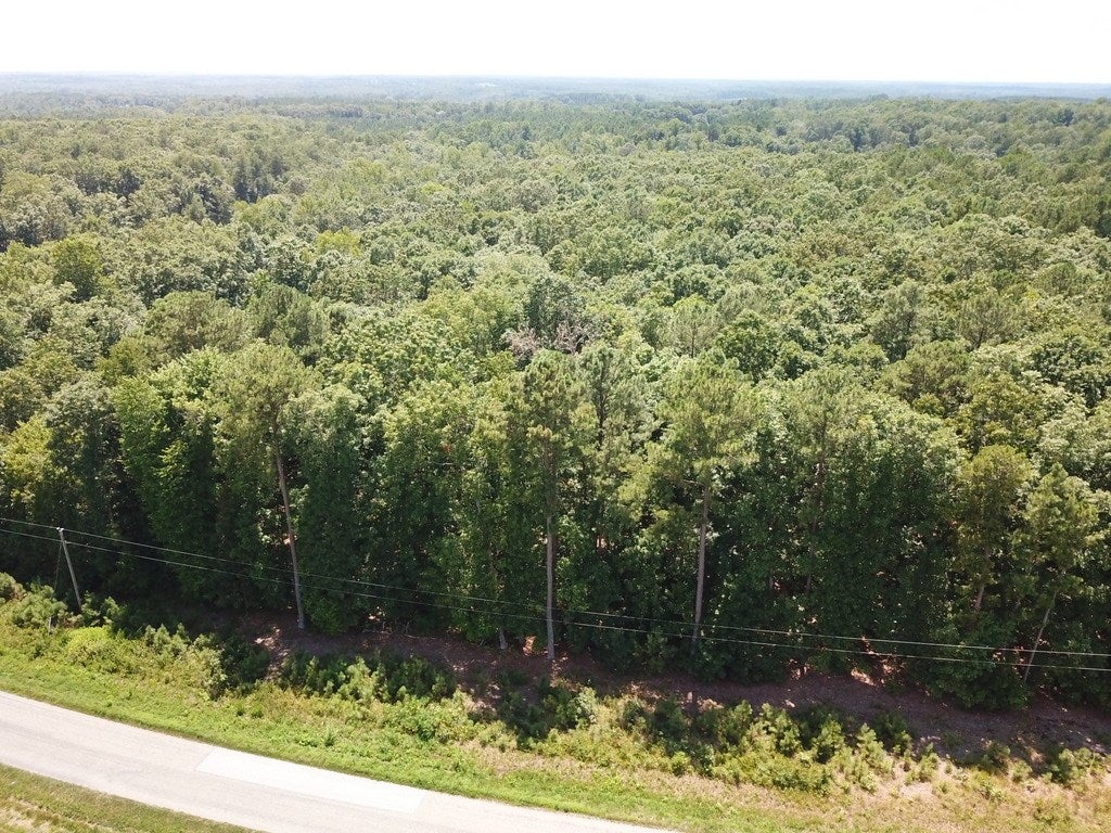 668 Berry Road, Unit 13 Brodnax, VA 23920 - Photo 11 of 15 Gallery Image 11