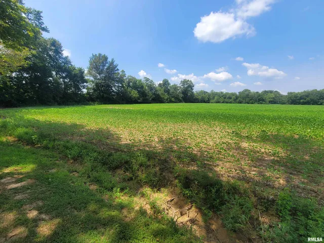 $84,000 | 0 Jacob Street, Dahlgren, IL 62828