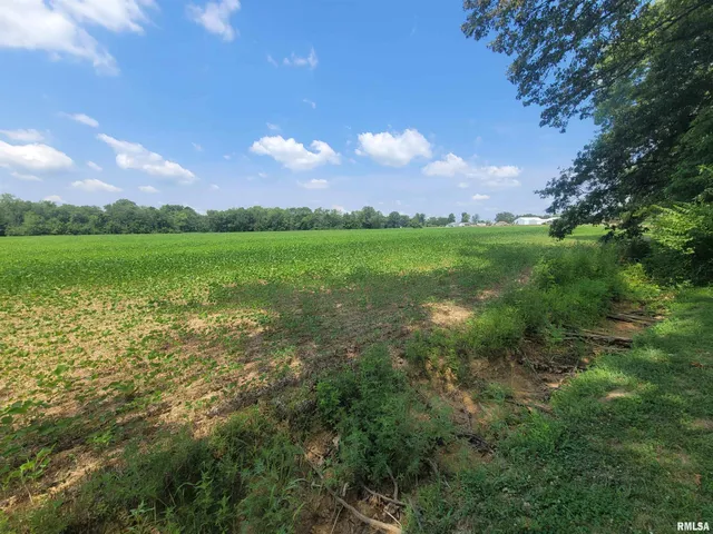 $84,000 | 0 Jacob Street, Dahlgren, IL 62828