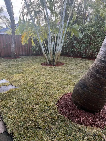 a view of a yard with a tree