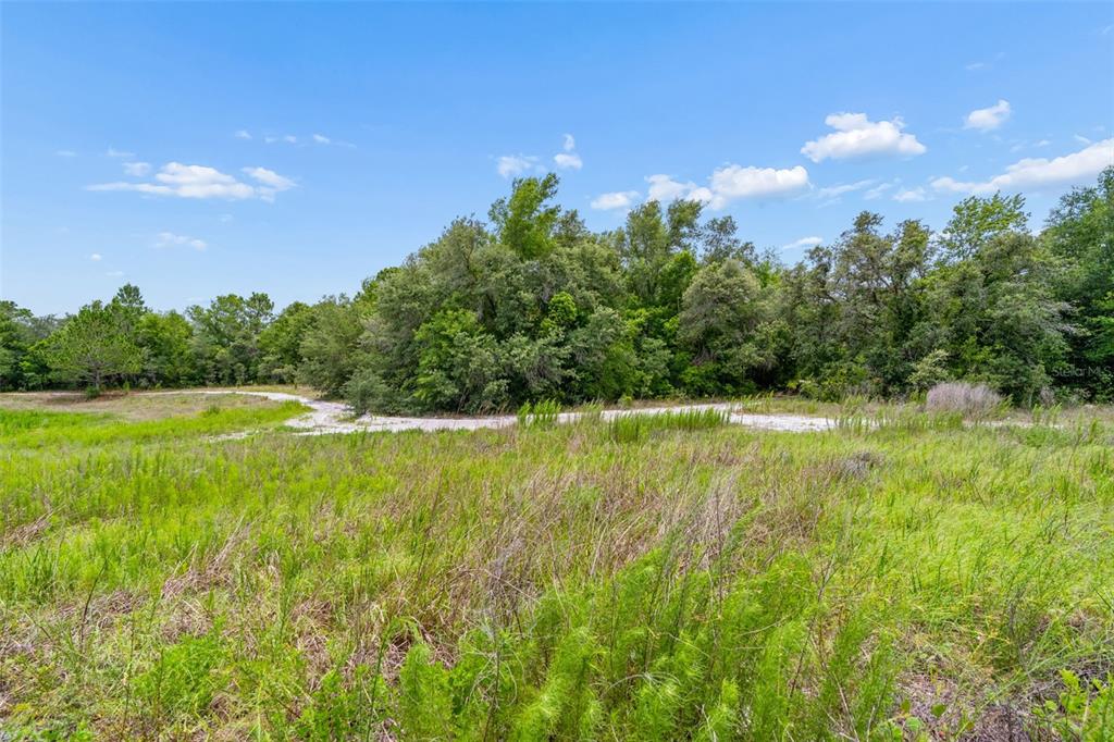 County Line Rd Spring Hill Hudson, FL 34667 - Photo 17 of 19