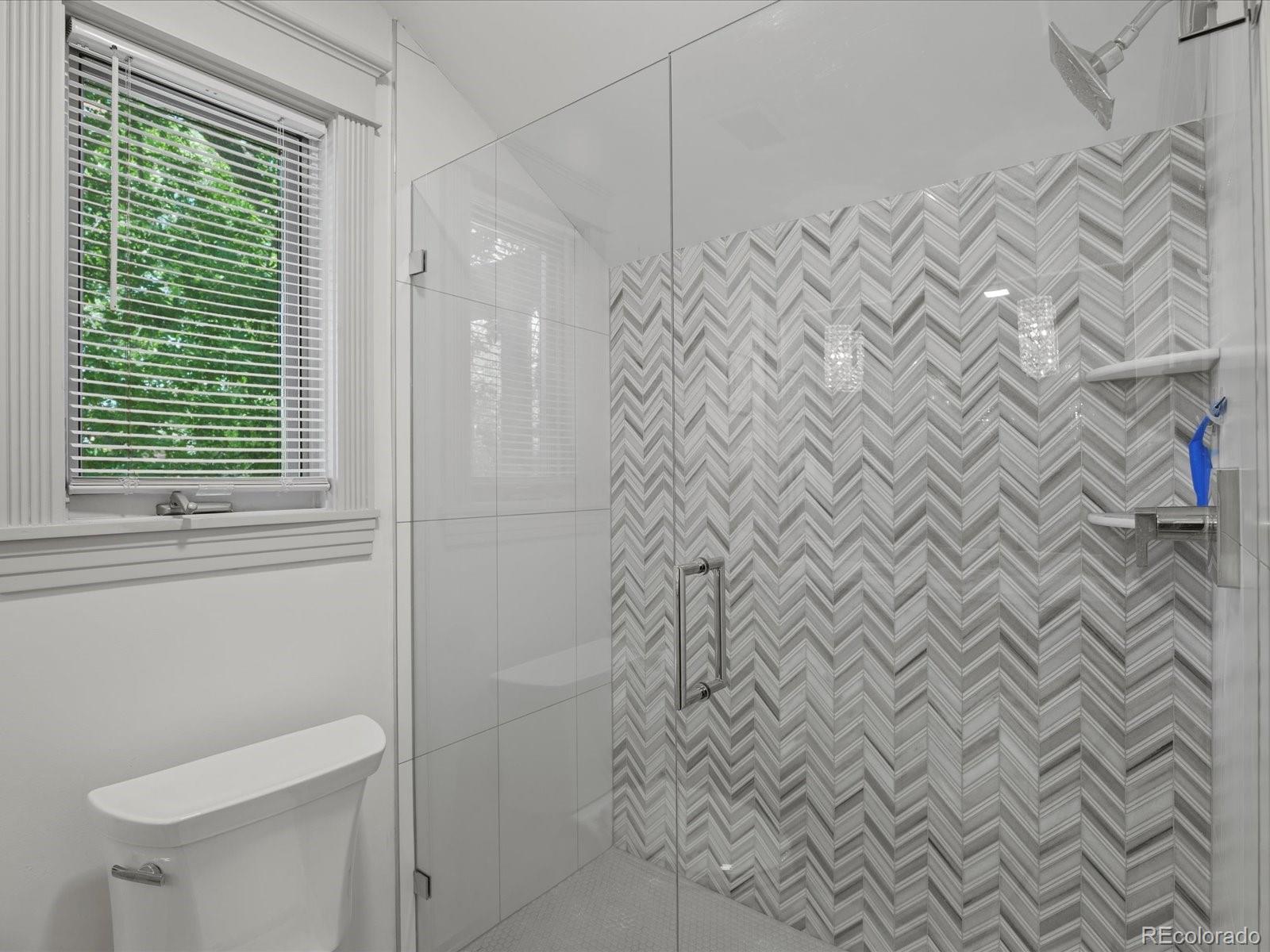 718 North Locust Street Denver, CO 80220 - Photo 33 of 46 a bathroom with a shower curtain and a toilet