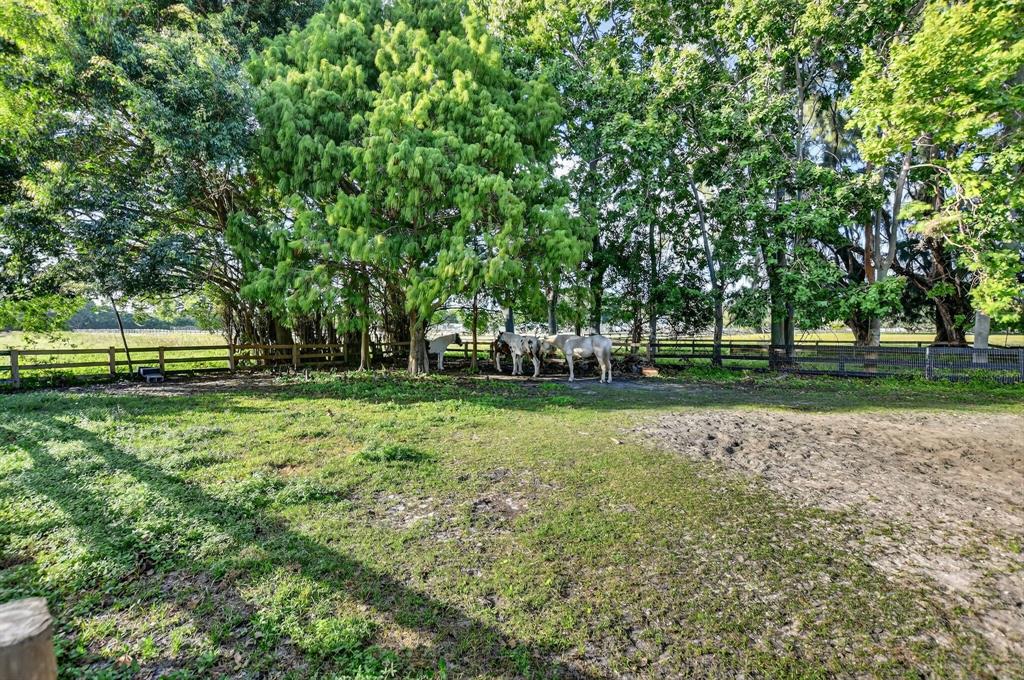 8233 Stagecoach Lane Boca Raton, FL 33496 - Photo 84 of 88