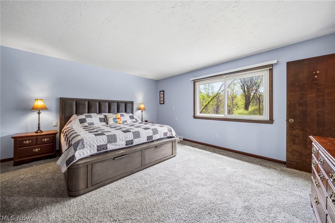 10610 Ridgewater Drive Painesville, OH 44077 - Photo 14 of 23 Spacious room featuring light blue walls and neutral-toned carpeting