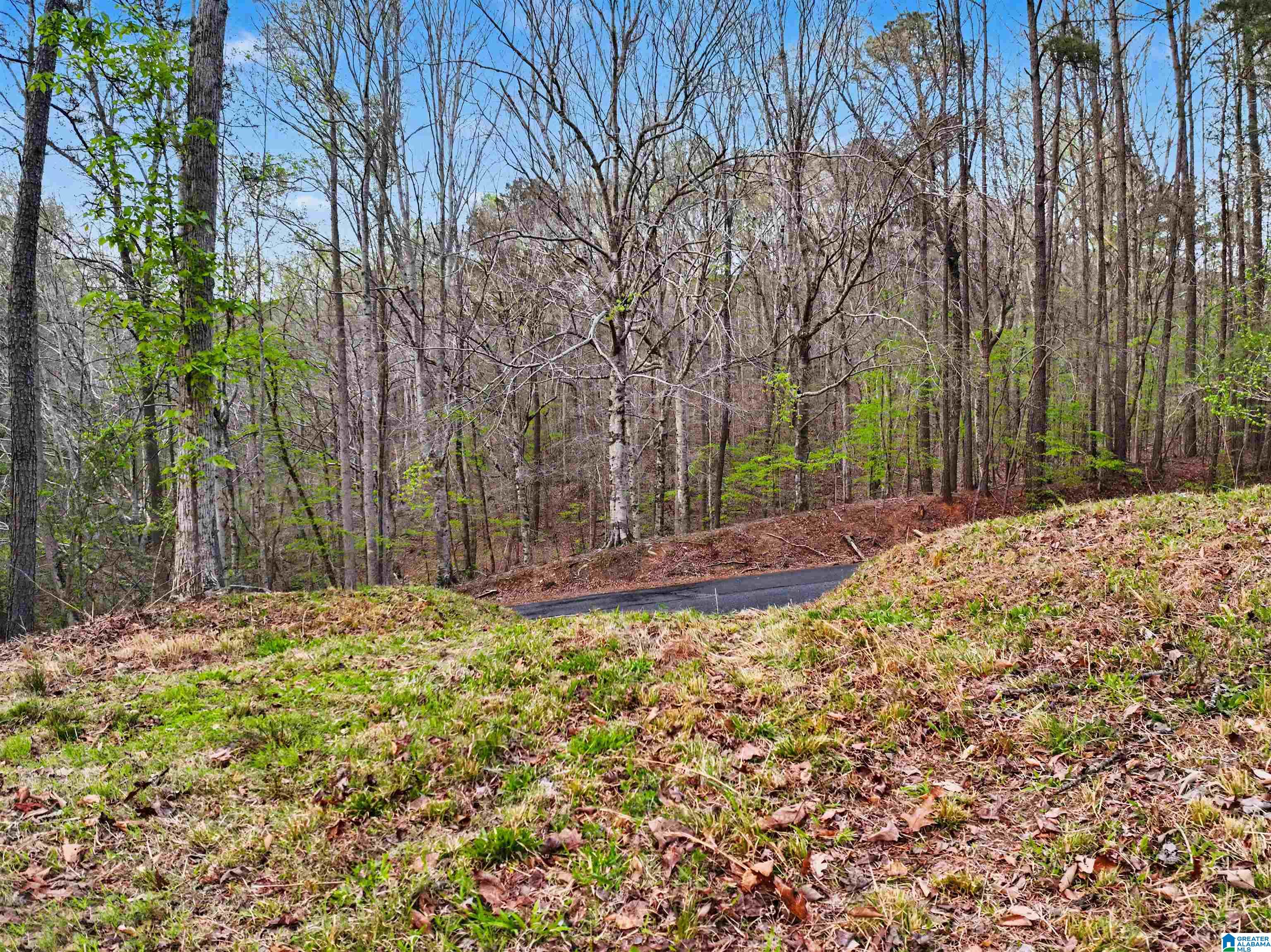841 Raintree Drive, Unit 53 Alexander City, AL 35010 - Photo 16 of 17
