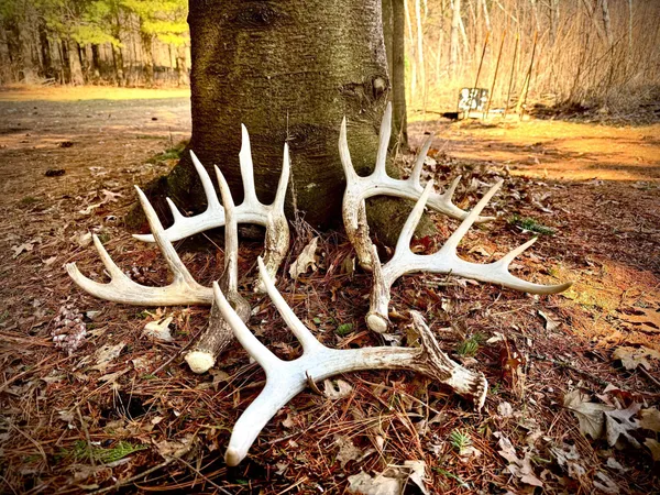 $299,000 | County Road M County Road, Osceola, WI 54020