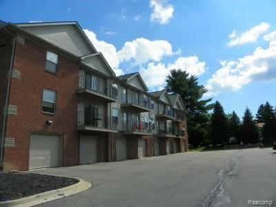 17081 East 14 Mile Road, Unit 14 Fraser, MI 48026 - Photo 17 of 17 GARAGE EXTERIOR.jpg