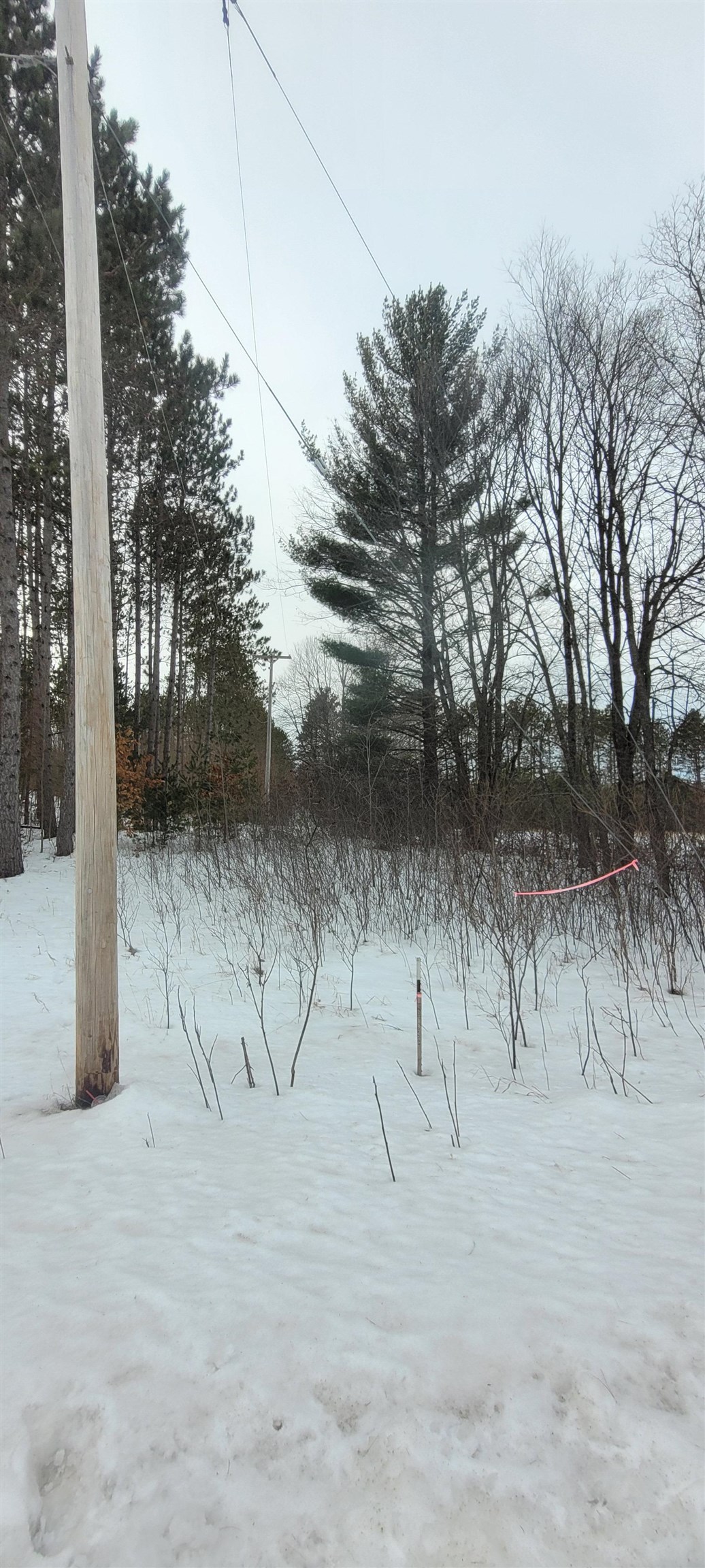 Tba Fife Lake Road Fife Lake, MI 49633 - Photo 25 of 39 Gallery Image 25