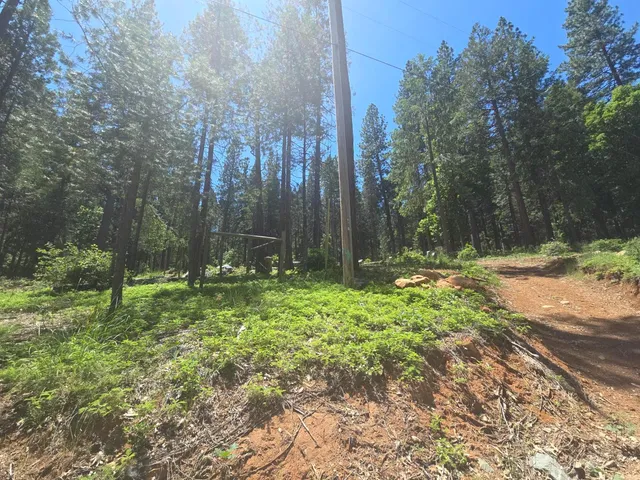 a backyard of a house with lots of green space