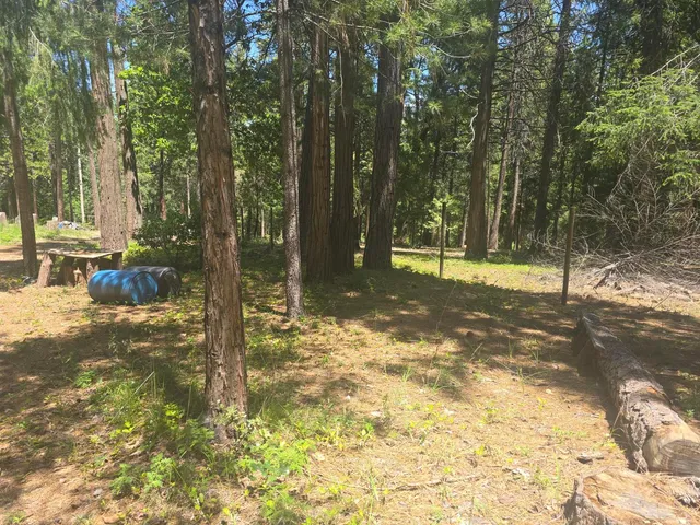 a backyard of a house with lots of green space and fountain