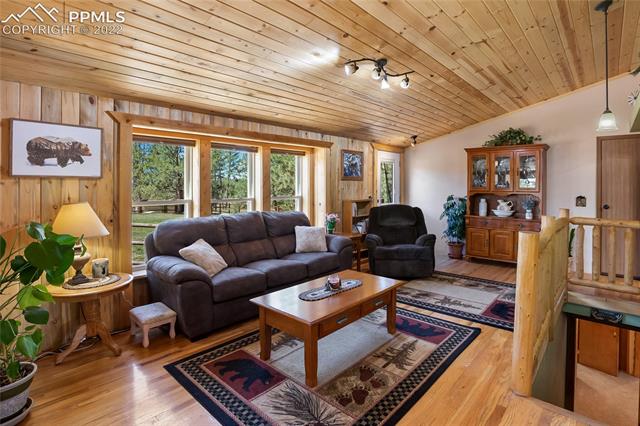 37 Quartz Road Florissant, CO 80816 - Photo 13 of 50