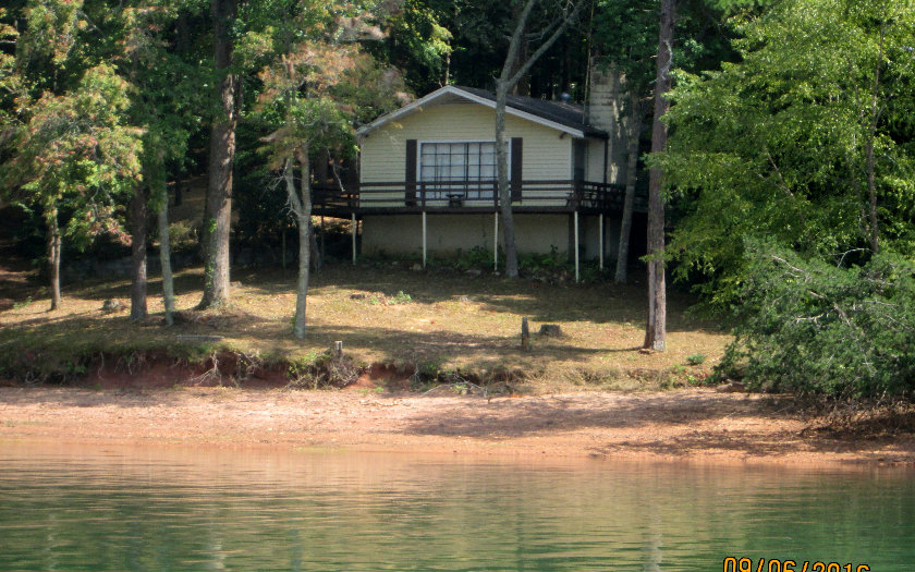 Main View