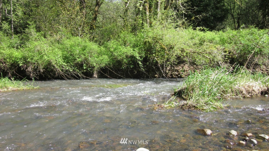 -xxx Telegraph Road Winlock, WA 98596 - Photo 14 of 15