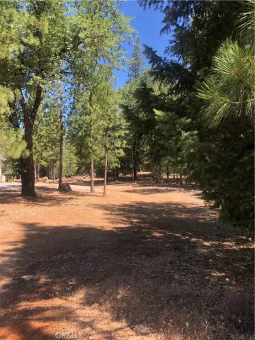 a view of yard with tree in the background