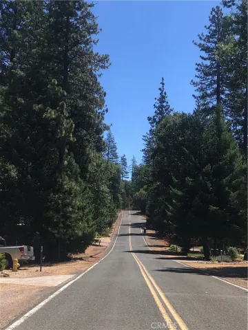 a view of city street with tall trees