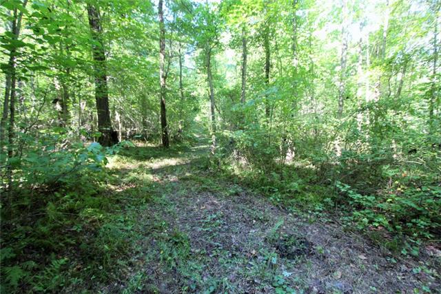3254 Spain Loop Cypress Inn, TN 38452 - Photo 10 of 20 Gallery Image 10