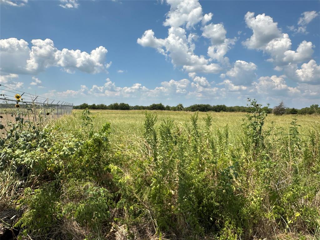 3767 East Line Road Whitewright, TX 75491 - Photo 1 of 25 Expansive undeveloped land featuring natural vegetation and a distant tree line