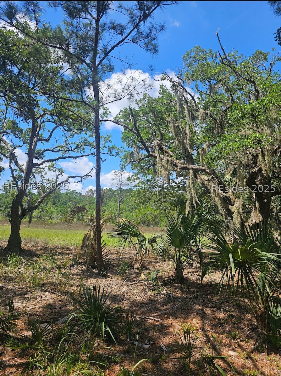 11 Hasell Pointe Road Okatie, SC 29909 - Photo 2 of 12